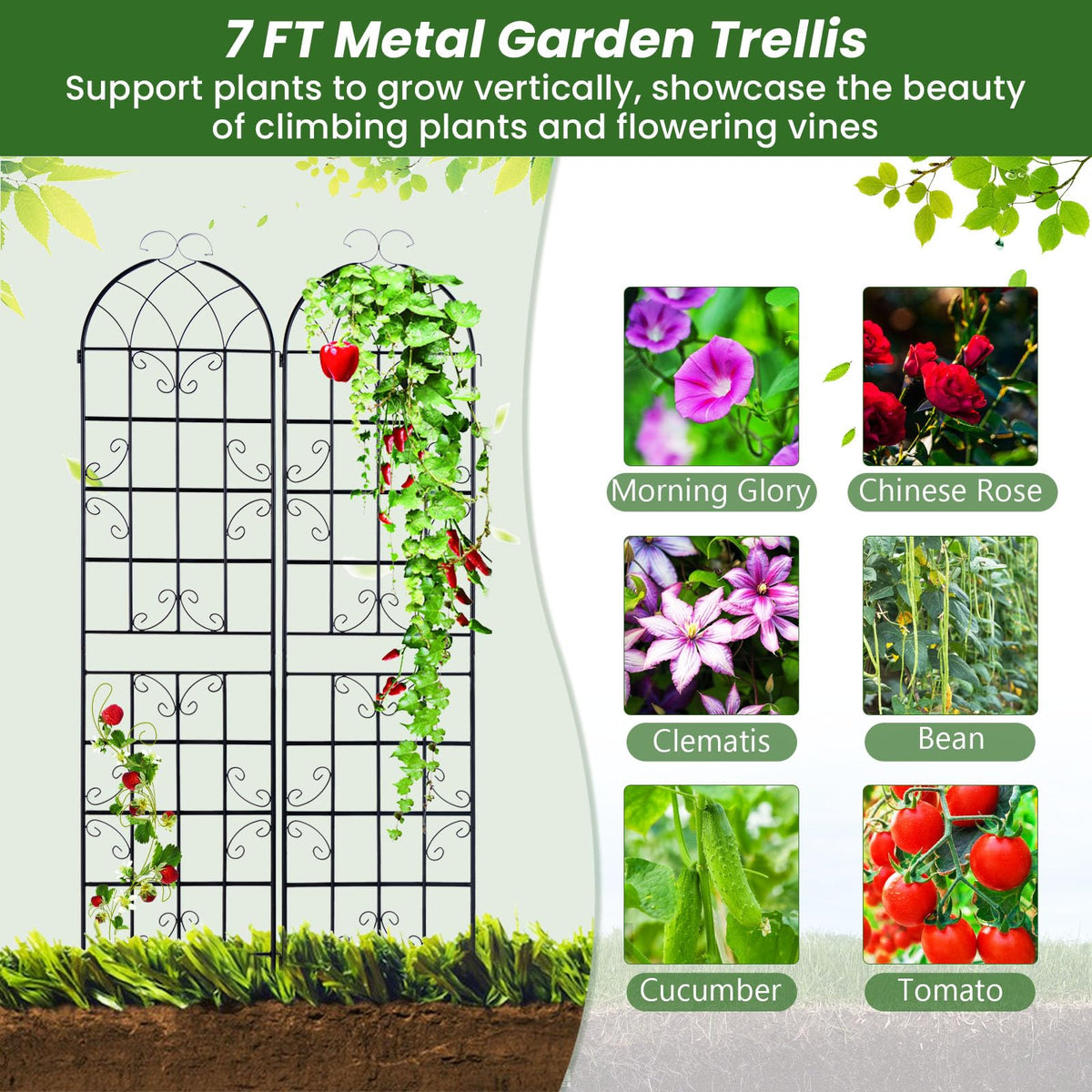 Lucktree 2 Pack Trellis for Climbing Plants Outdoor, 7 FT Tall Galvanized Steel Garden Trellis