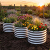 Lucktree Galvanized 2 x 2 x 1.5 FT Round Outdoor Planter Box with Open-Ended Base (1/2)