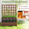 Lucktree Raised Garden Bed with Legs and Trellis