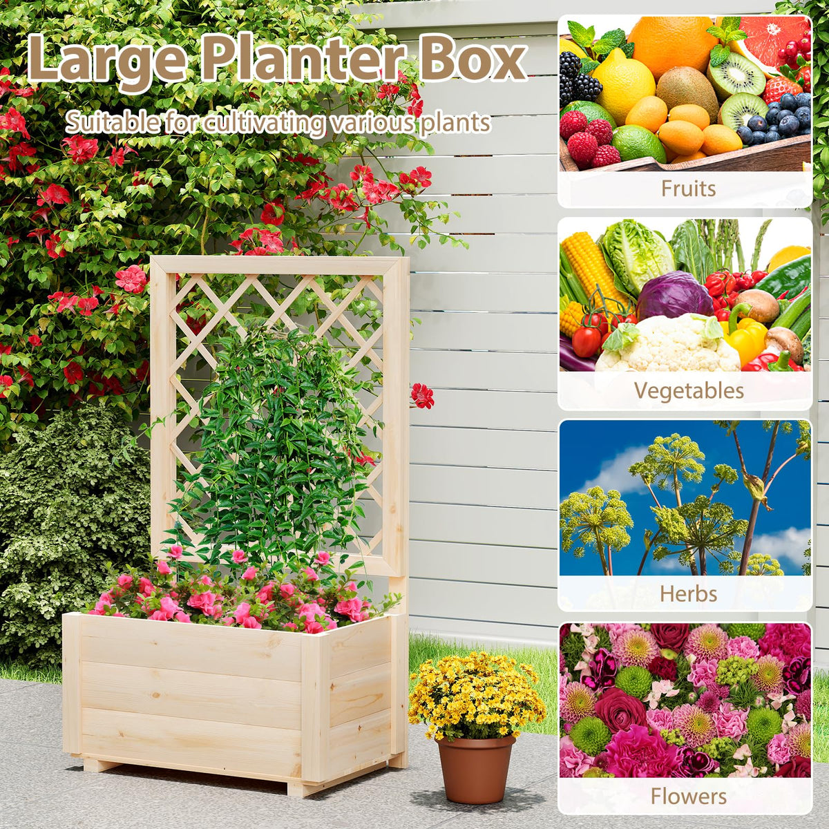 Lucktree Raised Garden Bed with Trellis (1/2)