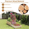 Lucktree Wooden Raised Garden Bed