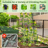 Lucktree Cucumber Trellis, Trellis for Climbing Plants Outdoor