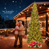 Lucktree 12 FT Pre-Lit Artificial Christmas Tree with Quick Power Connector