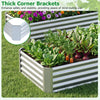 Lucktree 6 x 3 x 1 FT Galvanized Rectangular Metal Raised Garden Bed (1/2)