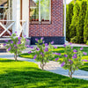 Lucktree 39” 2 Pack Artificial Locust Flower Trees with Ground Spikes | Sophora Japonica Blossoms