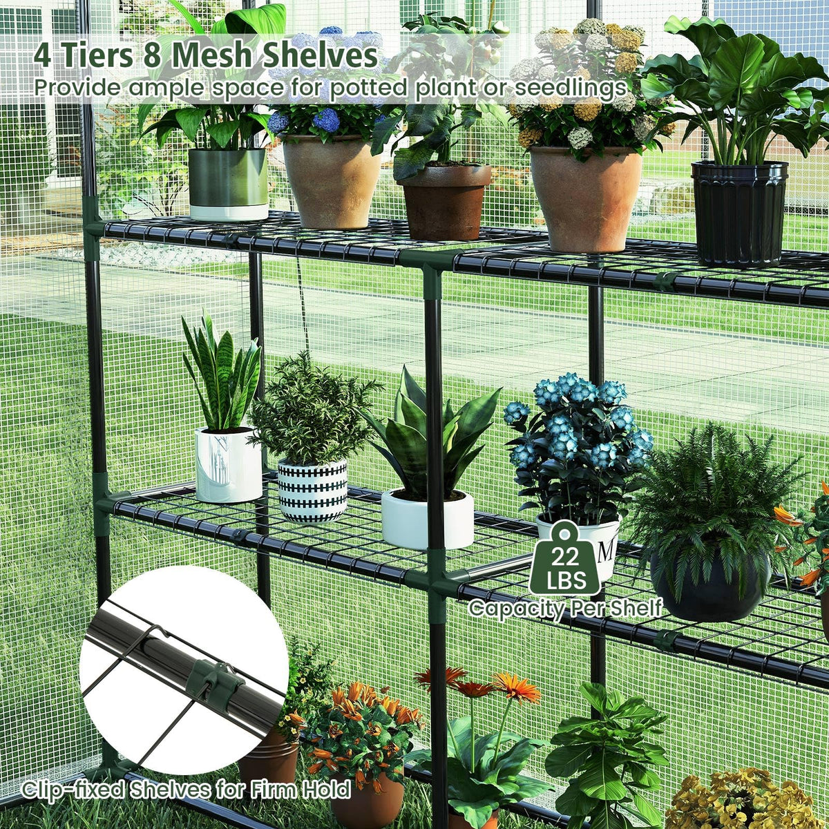 Lucktree 57”L x 57”W x 77”H Walk-in Greenhouse for Outdoors