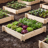 Lucktree 40" x 40" Square Fir Wood Planter Box with Open-Ended Base for Vegetables Flowers Herbs