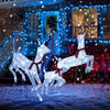 Lucktree 3-Piece Large Lighted Christmas Reindeer Family, Light up Xmas Decorations w/255 LED Lights & Scarves