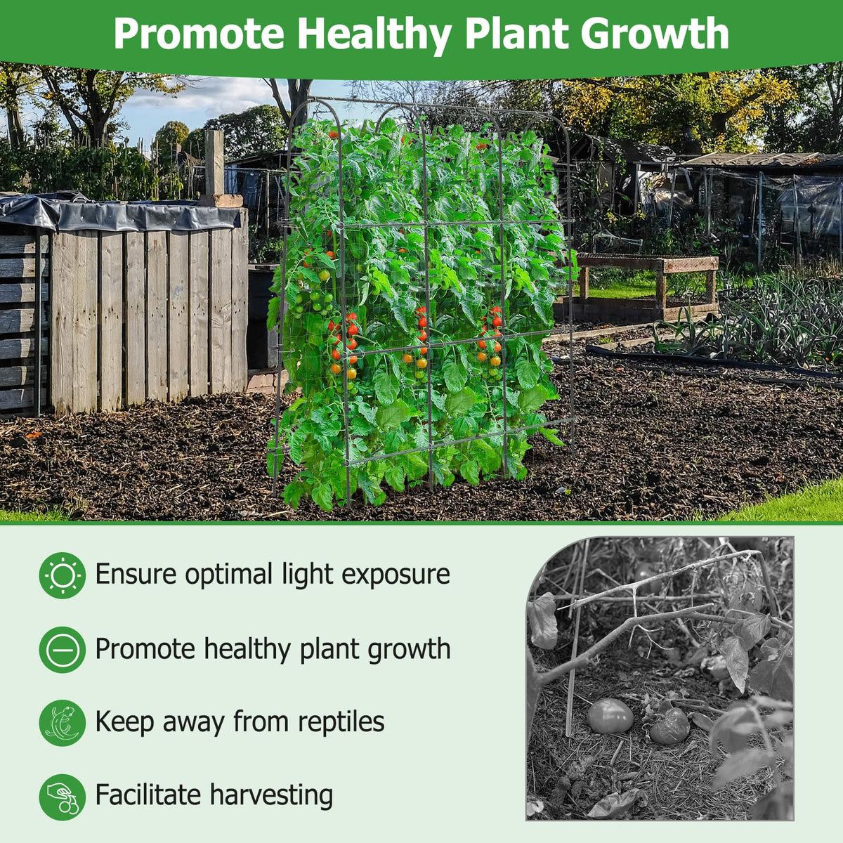 Lucktree Garden Arched Trellis for Climbing Plants, 71” x 71” U-Shaped Tall Cucumber Trellis for Raised Garden Bed