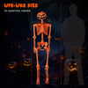 Lucktree 5.2 Ft Life-Size Posable Skeleton with Pumpkin Head Halloween Orange Skeleton Decoration