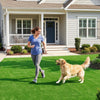 Lucktree 10 FT x 6.5 FT/8 FT x 5 FT Artificial Turf Rug