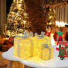 Lucktree 3 Pieces Christmas Lighted Gift Boxes ( Laser Fish Scale )