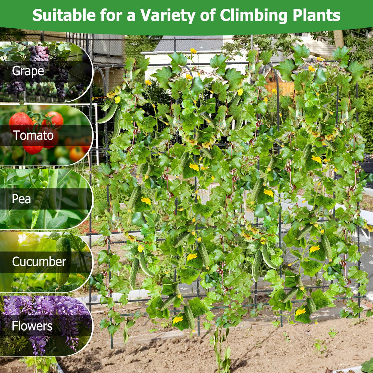 Lucktree Garden Arched Trellis for Climbing Plants, 71” x 71” U-Shaped Tall Cucumber Trellis for Raised Garden Bed