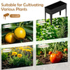 Lucktree Metal Raised Garden Bed with Legs(24”x11”x18”)