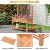 Lucktree Raised Garden Bed with Trellis