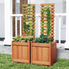 Lucktree Outdoor Wooden Raised Garden Bed with Trellis