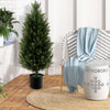 3FT Artificial Topiary Cedar Tree Faux Potted Plants Artificial Cypress Tree