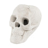 Lucktree Halloween Fire Pit Skull Ceramic