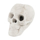 Lucktree Halloween Fire Pit Skull Ceramic