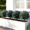 Lucktree 2 Pack Artificial Lavender Boxwood Topiary Ball Trees 27.5" Faux Floral Shrubs