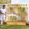 Lucktree Large Raised Garden Bed with Trellis and Roof