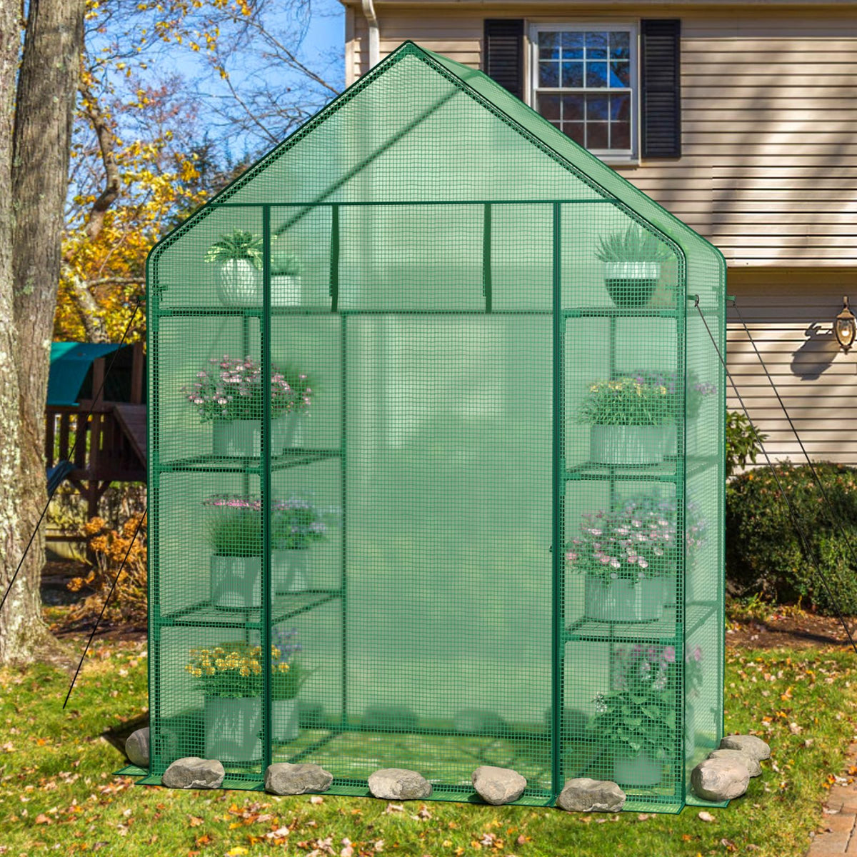Greenhouse Outdoor Mini Walk-in Plant Green house for Plants