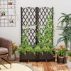Lucktree 2 Pack Raised Garden Beds with Trellis