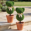 Lucktree 2 Pcs Teddy Bear Topiary Trees 16.5”Sun-Resistant Faux Boxwood Plants