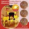 Lucktree 3 Pieces Christmas Lighted Reindeer Family Set