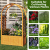 Lucktree Raised Garden Bed with Arch Lattice Trellis, for Climbing Vine Flower Vegetable